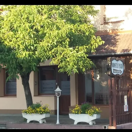 Borostyan Panzio Maison d'hôtes Kiskunfélegyháza