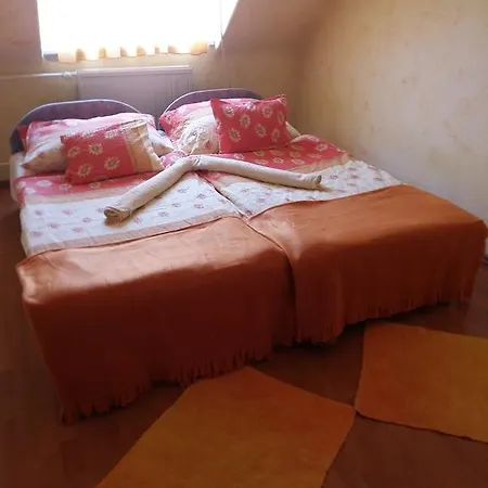Borostyan Panzio Kiskunfélegyháza