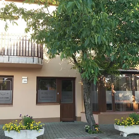 Maison d'hôtes Borostyan Panzio Kiskunfélegyháza