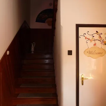Borostyán * Kiskunfélegyháza